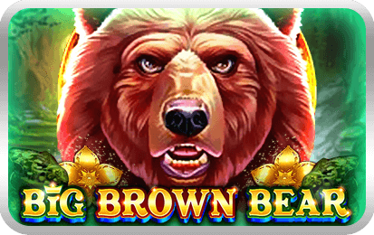 Big Brown Bear-icon